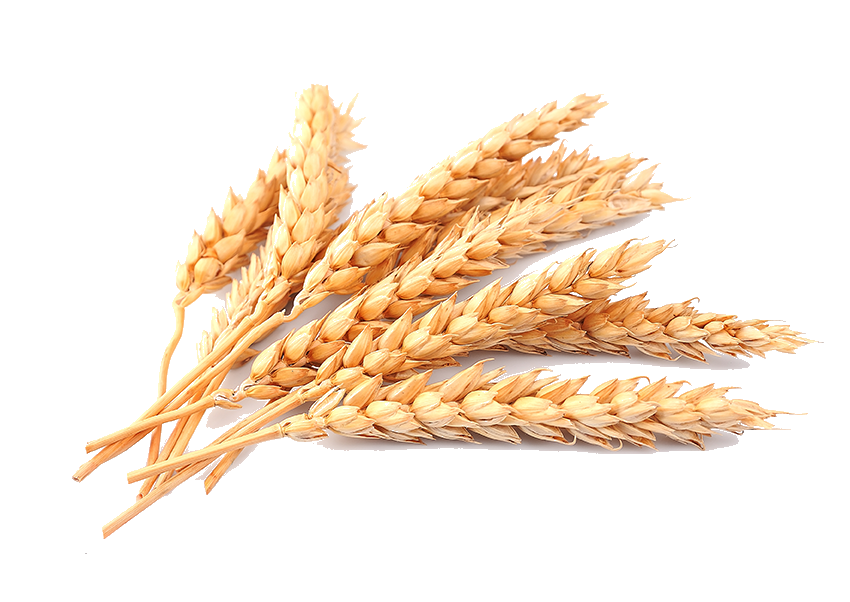 Grains